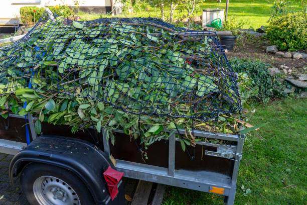 Best Scrap Metal Removal  in Saint Johns University, MN